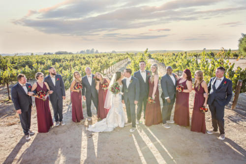 Vineyard Wedding